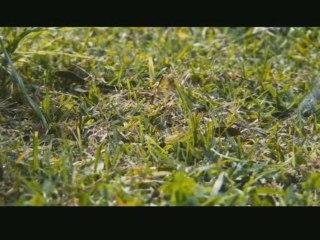 Destination finale 4 - bande annonce VO (3D)