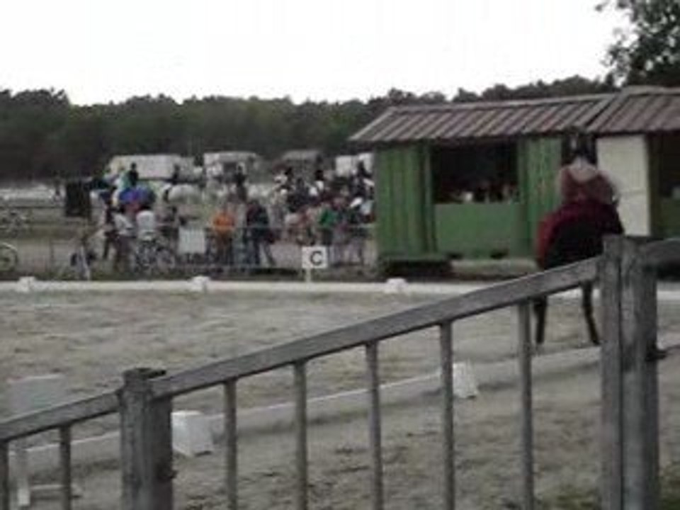 lamotte dressage RLM