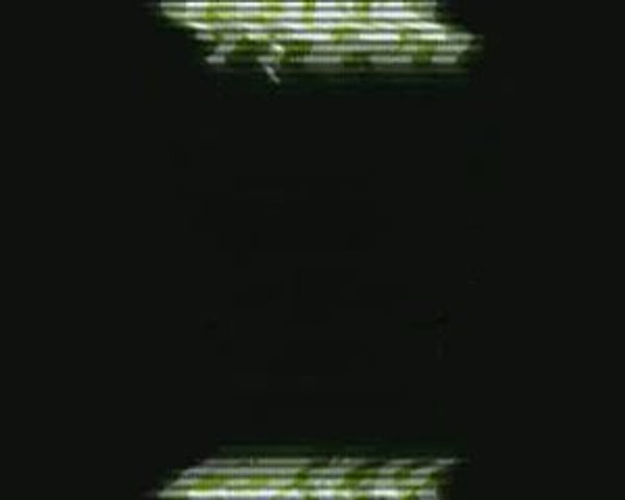 training fran 29/6/09