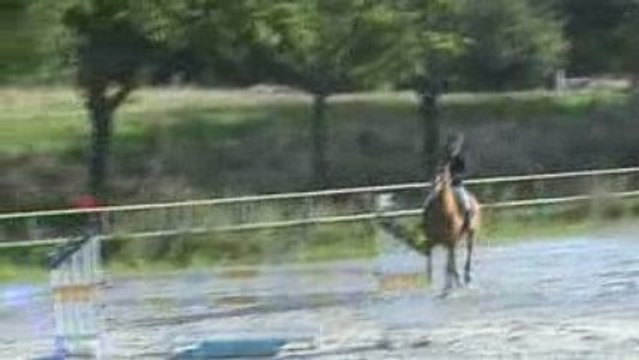 Etrier Sarthois 18/07/09 1,05m