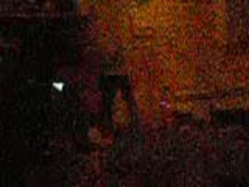 nolwenn et nelliac in love