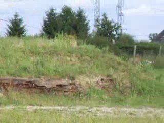 Ruée vers l'Or du Lin sur le Cross