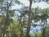 V-Strom Türkiye, Akbük-Gökova Orman Kampı Yolu