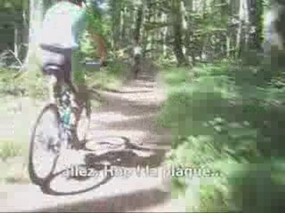 St-Denis Montagne Noire 2009