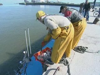 Emission "L'oeilleton d'Emma" sur les aubettes ep.2