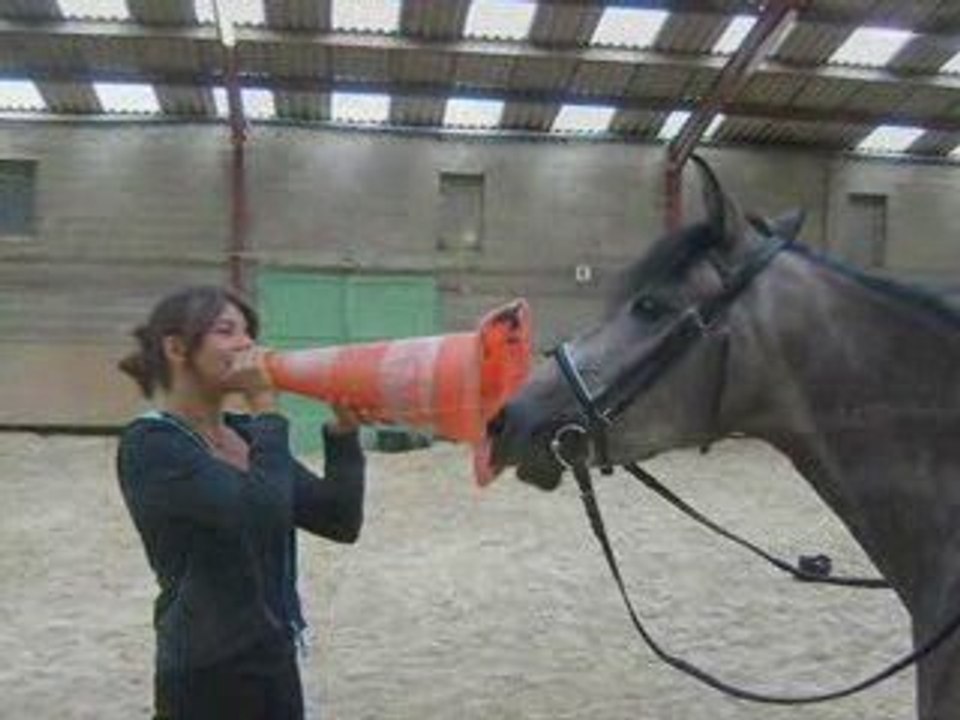 Sapho au club
