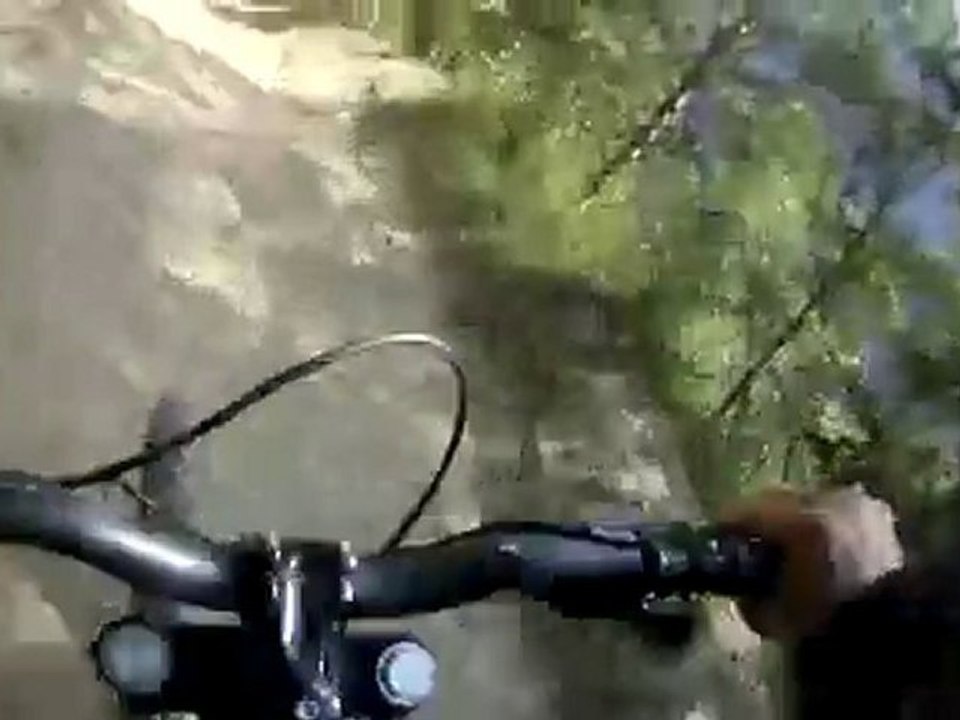 DH 2Alpes Venosc - part 1