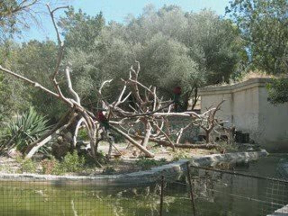 La réserve de SIGEAN, 07.09