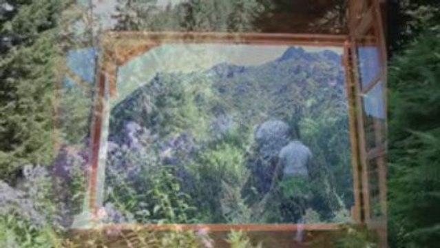 hemşin yaylaları-nilüfer gülas