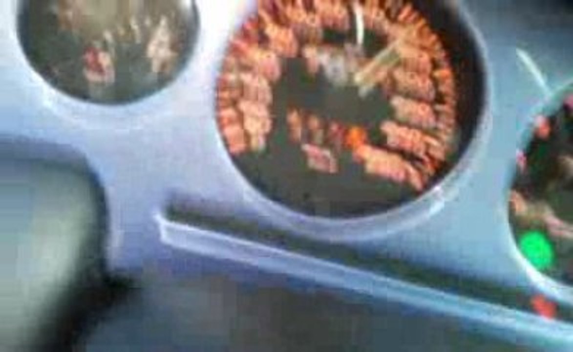 50 à 200 en T20 stock