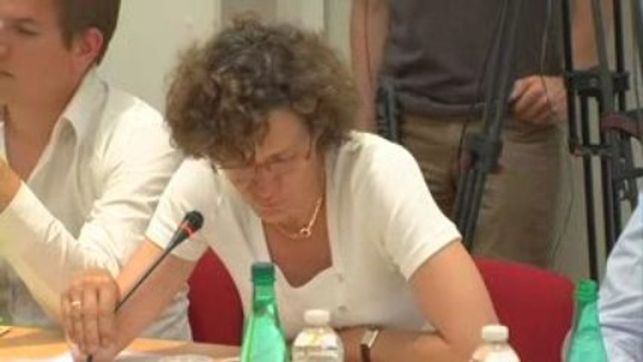 Dernière Plénière : Elaboration du Livre Vert