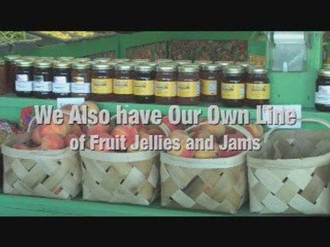 Brunswick County NC | Farms | Produce