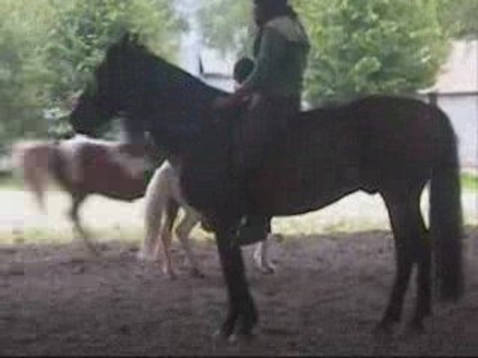 Jeux a Cru