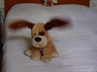 chien chanteur