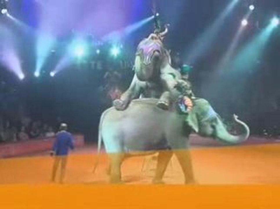 Le show 2009 Arlette Gruss-iPhone