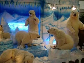 à Metz le 2 déc 2007 M&F