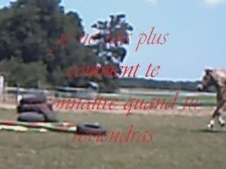 Journée inoubliable