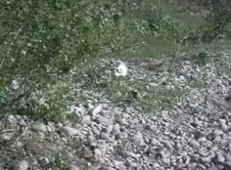 Egée et Elos 2 mois au lac