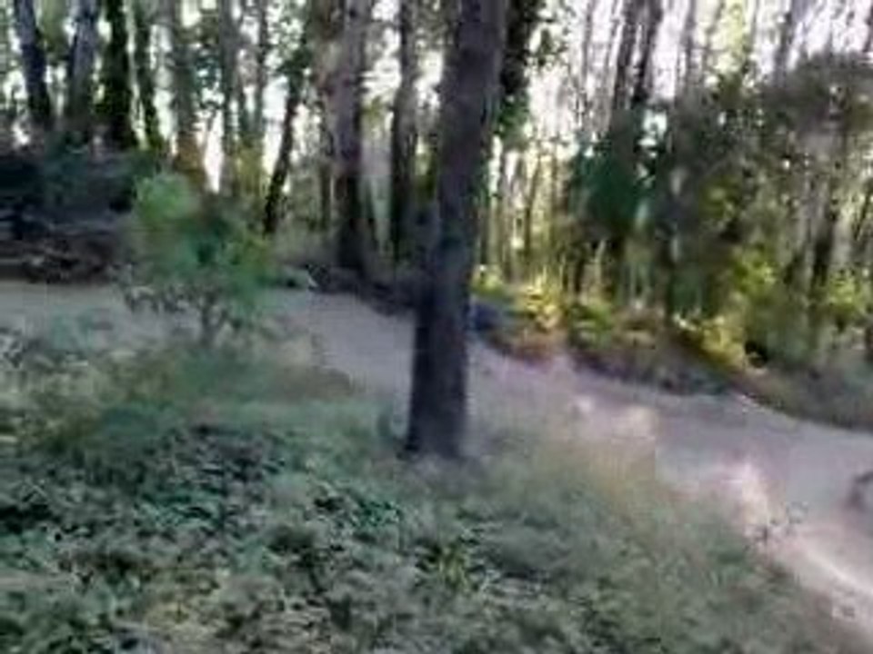 pit bike julien 4
