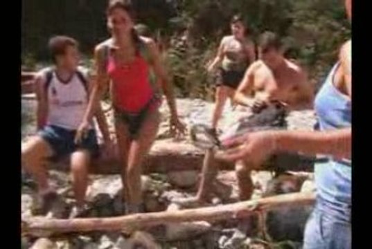 Un paseo com los perros de la guarderia