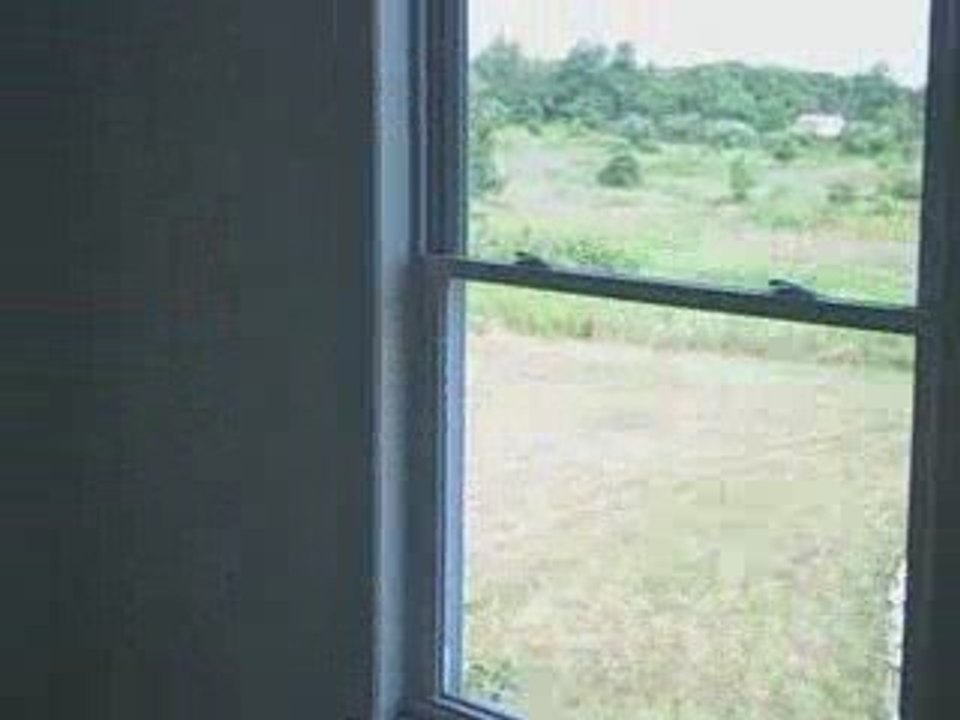 6th St. Kalamazoo MI Home For Sale