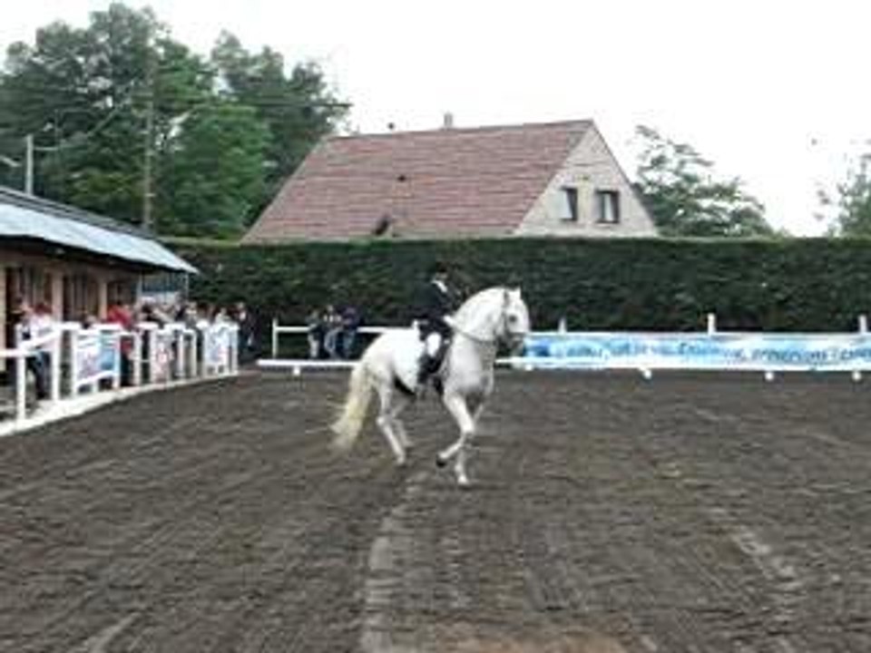 chevaux & enghien 090