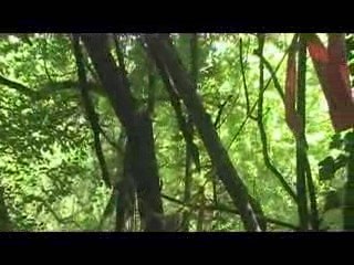 Desvres le 14/07/2009 part3