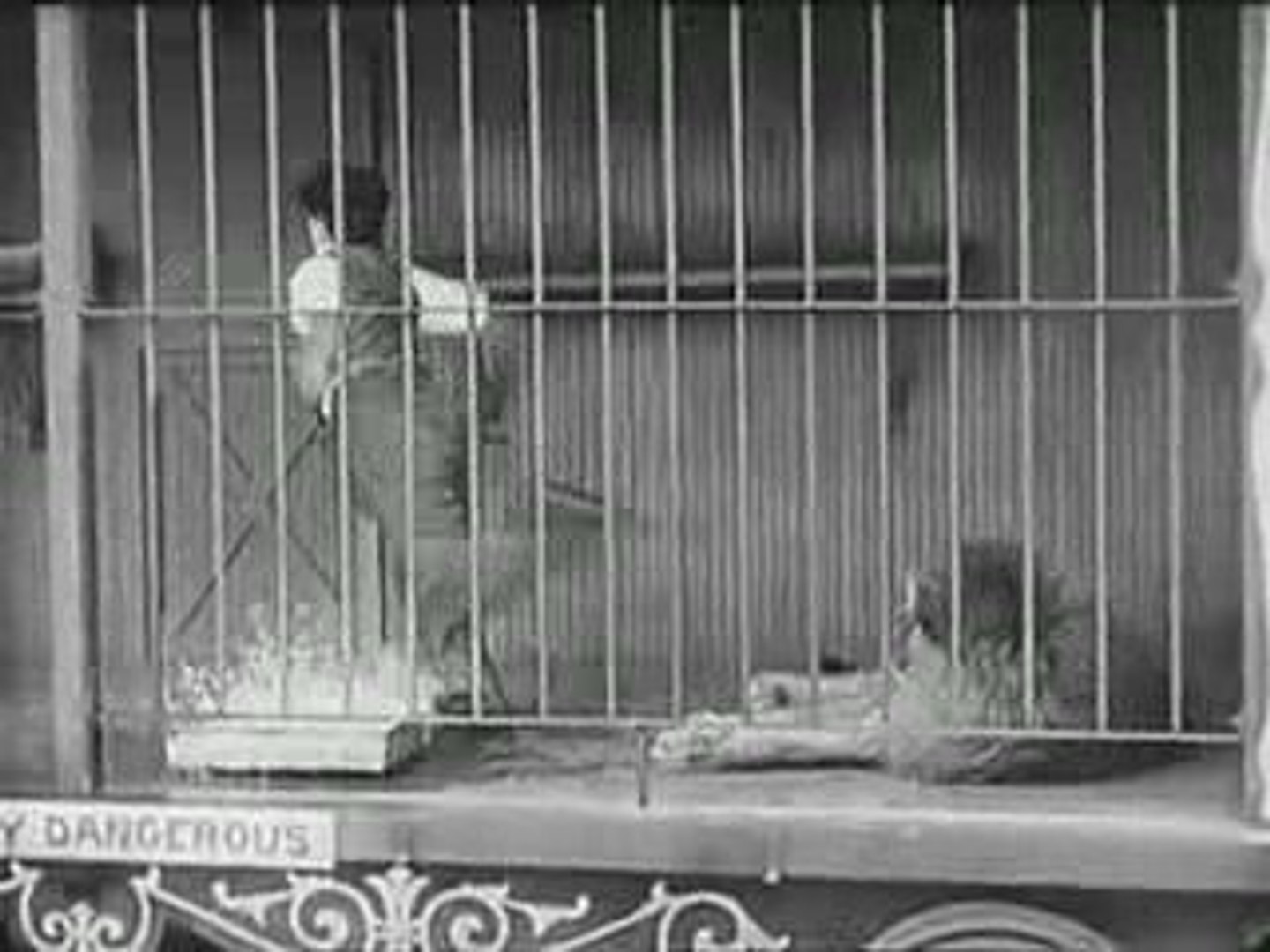 Charlie Chaplin - The Lion's Cage  - video Dailymotion