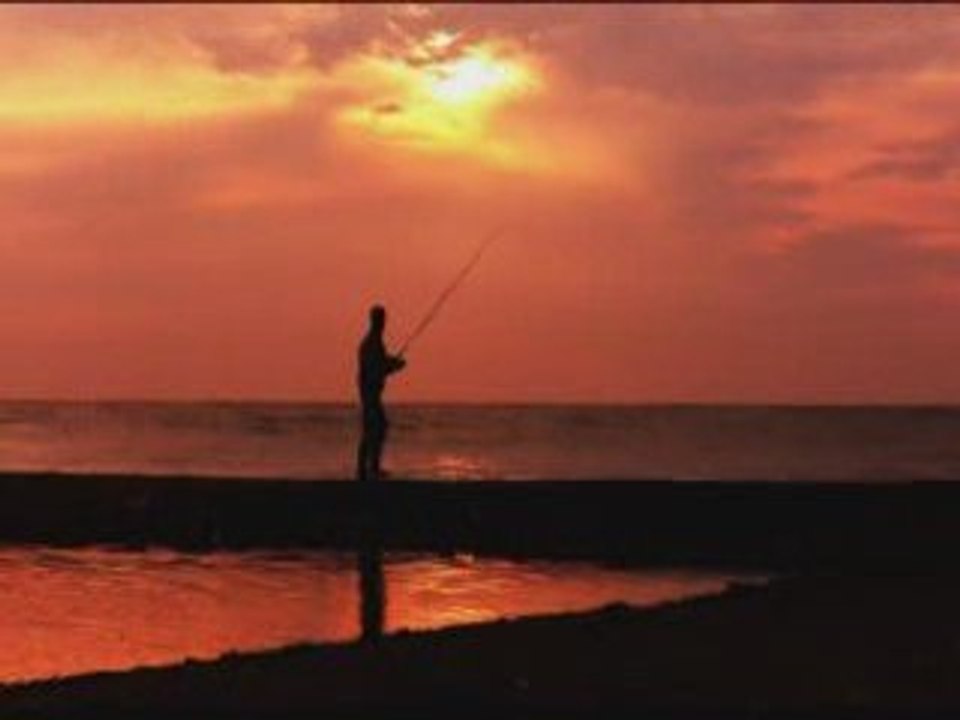 carpe en bord de mer ....... combat  fish  spot