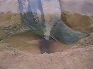 /Users/piro/Desktop/Tortuesluth1-lo