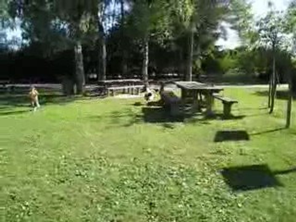 Sans Titre