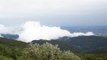 vue sur les Vosges et l'Alsace depuis le Grand Ballon no2