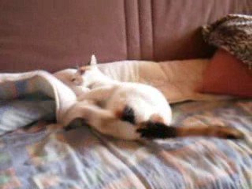 Mimi et E-Bay