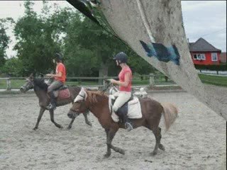 apr'em jeux a poney