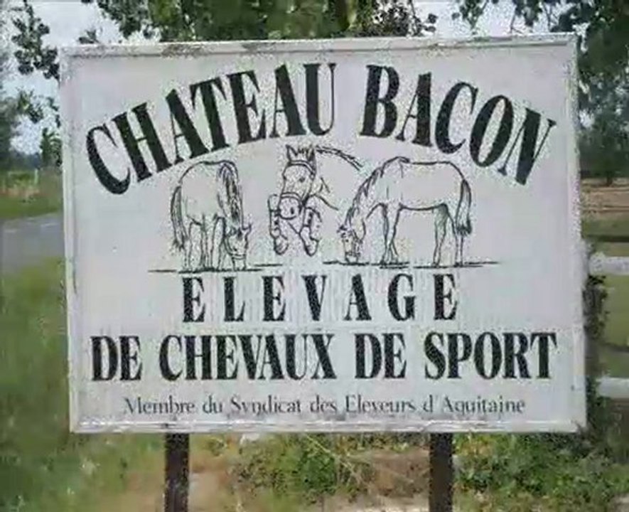 Chateau Bacon