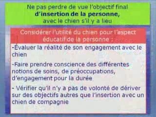 Journée accueil chien - Nathalie Simon