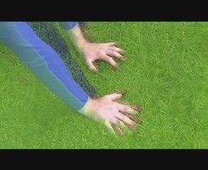 Boom Clap Bachelors - Combiner