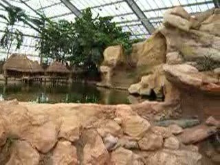 La Ferme aux crocodiles