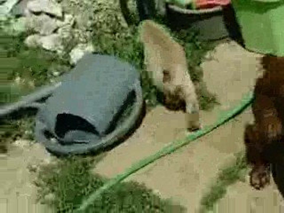 CLIP0022