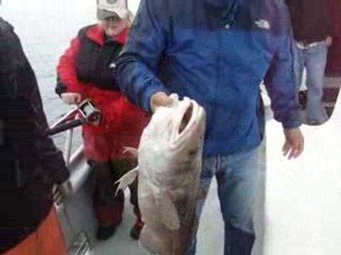 OMER, NECO VE KADIR USTA ALASKA BALIK AVI