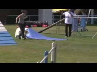 Cayenne Degré Agility Messimy 19/07/2009