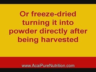 antioxidant acai, what does acai look like, acai amazon