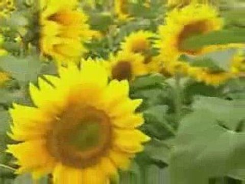 Мой любимый Харьков - Kharkov