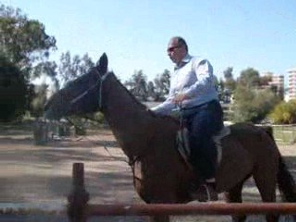 Binicilik dersleri -