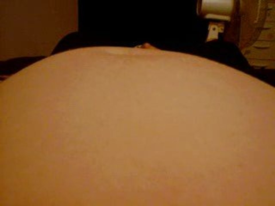 bidou 6mois et demi de grossesse