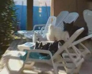 Dakko et Sookie tout mouillé !