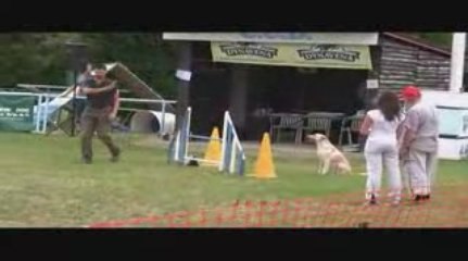 Alaska Jumping Agility Messimy 19/07/2009