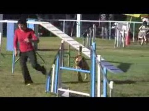 Sindbad Open Agility Messimy 19/07/2009