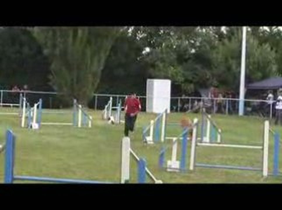 Sindbad Jumping Agility Messimy 19/07/2009