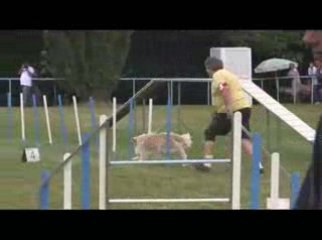 Salsa GPF Agility Messimy 19/07/2009